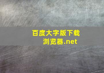 百度大字版下载 浏览器.net